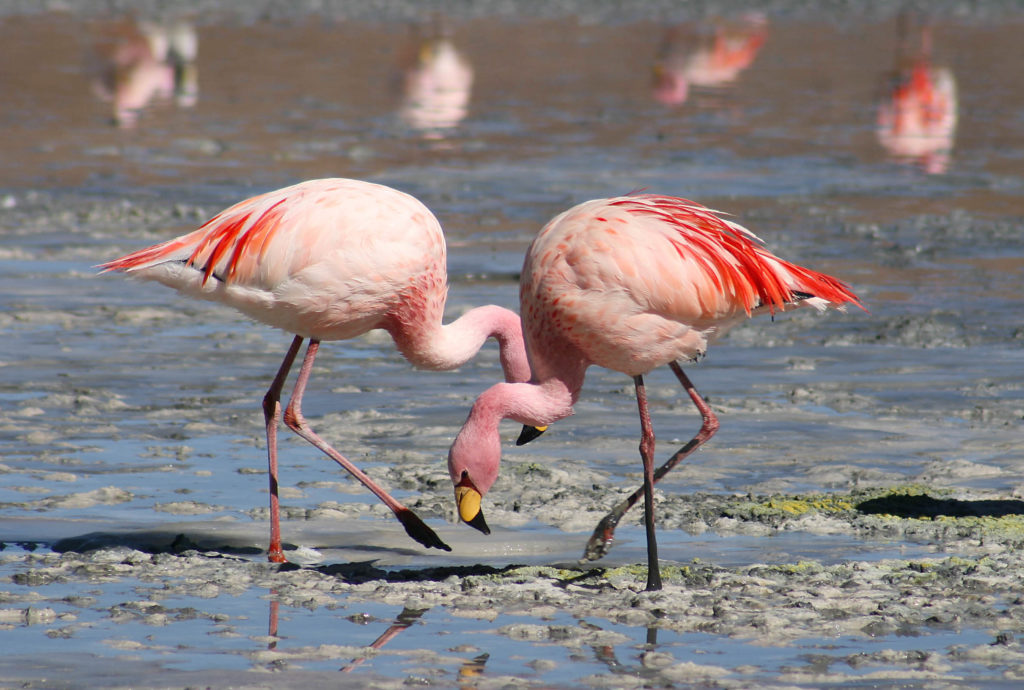 tourism spots in paraguay